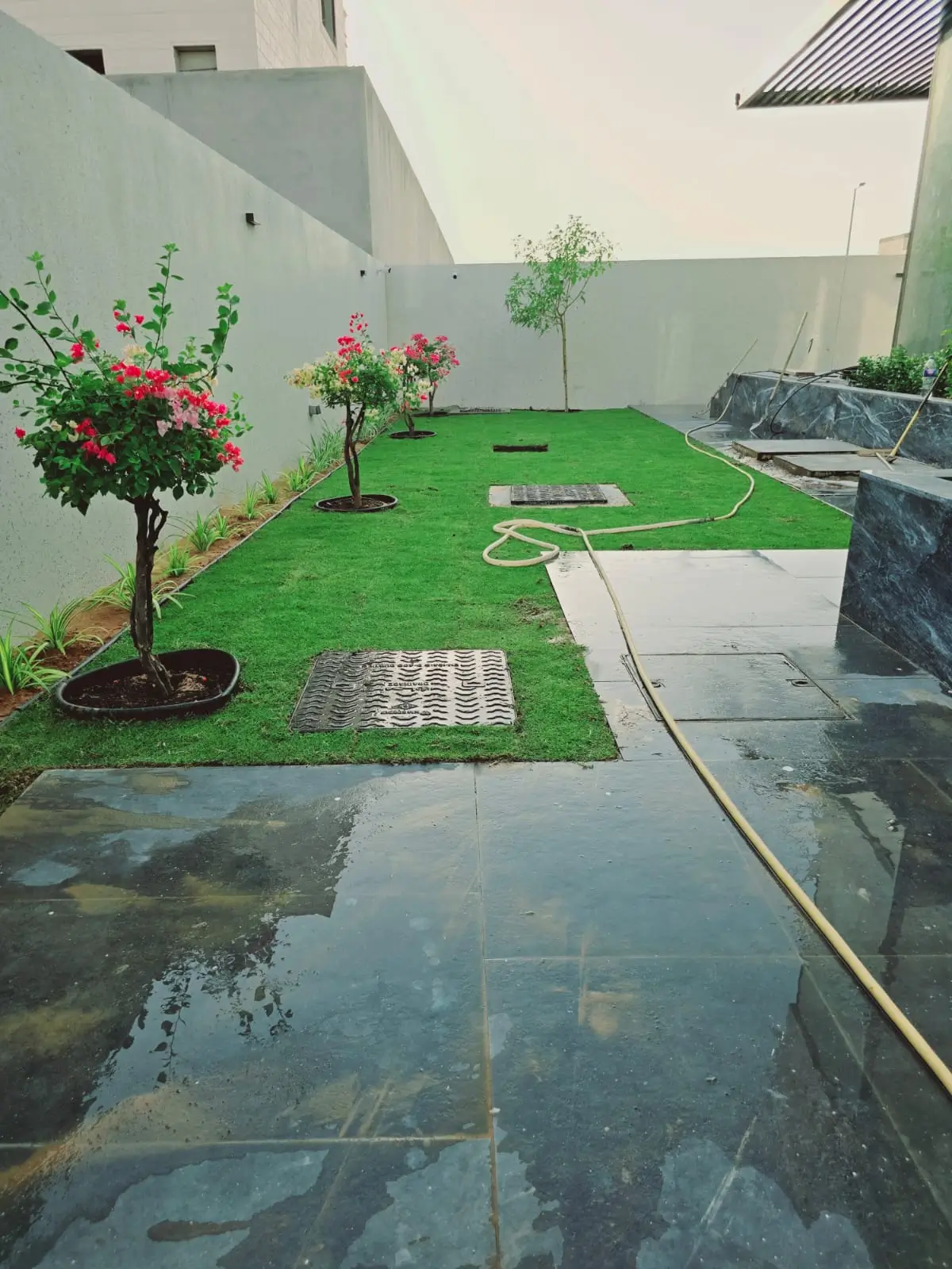 Hybrid (Mixed) natural real grass