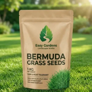 Bermuda grass seeds 1KG packet in UAE