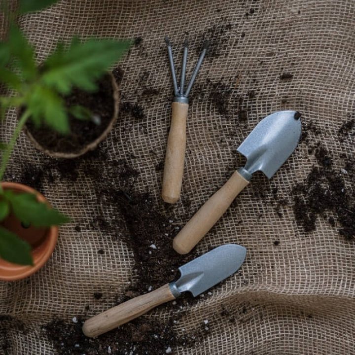 gardening-tools.jpg Gardenig Tools Easy Gardens